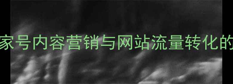 图片 百度SEO百家号内容营销与网站流量转化的实战指南1
