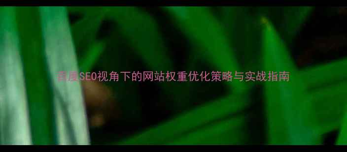 图片 百度SEO视角下的网站权重优化策略与实战指南