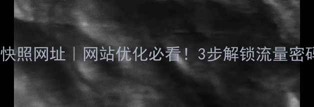图片 百度快照网址｜网站优化必看！3步解锁流量密码🔥2