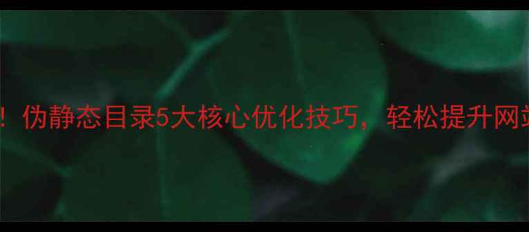 图片 百度收录必看！伪静态目录5大核心优化技巧，轻松提升网站权重与流量2