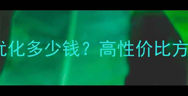 图片 益阳外贸网站优化多少钱？高性价比方案及操作指南1