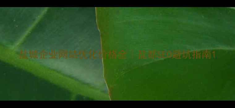 图片 盐城企业网站优化价格全｜盐都SEO避坑指南1