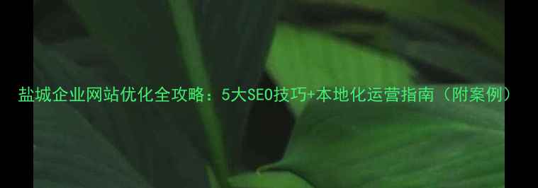图片 盐城企业网站优化全攻略：5大SEO技巧+本地化运营指南（附案例）