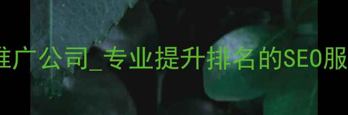 图片 盐城市网站优化推广公司_专业提升排名的SEO服务流量增长方案2