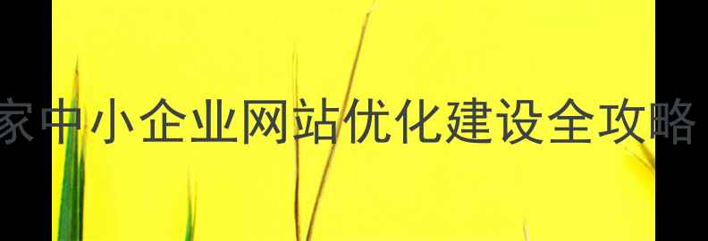 图片 盖州本地SEO专家中小企业网站优化建设全攻略（附真实案例）