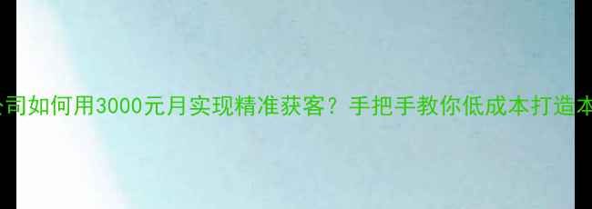 图片 石家庄网络小公司如何用3000元月实现精准获客？手把手教你低成本打造本地化线上品牌1