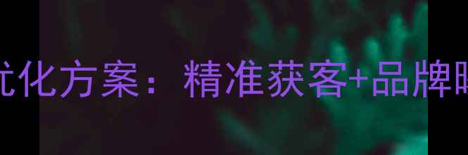 图片 福田高端企业SEO优化方案：精准获客+品牌曝光双效提升指南1