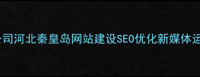 图片 秦皇岛专业网络公司河北秦皇岛网站建设SEO优化新媒体运营一站式服务商1