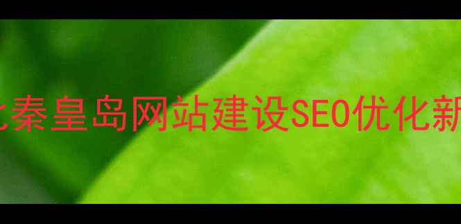 图片 秦皇岛专业网络公司河北秦皇岛网站建设SEO优化新媒体运营一站式服务商2