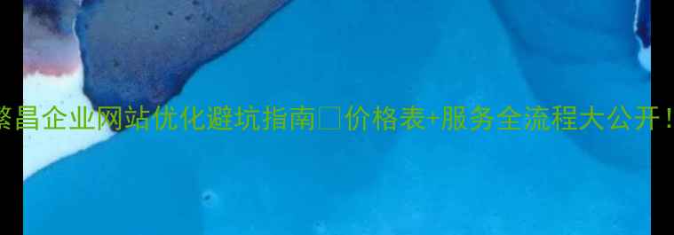 图片 繁昌企业网站优化避坑指南🔥价格表+服务全流程大公开！