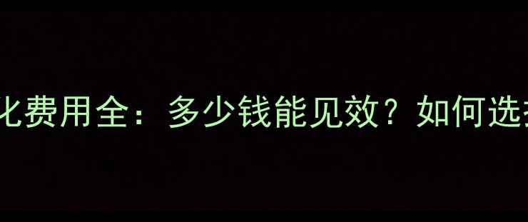 图片 网站SEO优化费用全：多少钱能见效？如何选择服务商？