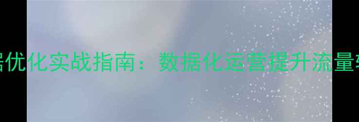 图片 网站SEO数据优化实战指南：数据化运营提升流量转化全攻略2