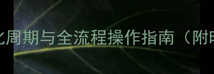 图片 网站上线后百度SEO优化周期与全流程操作指南（附时间节点与效果监测）2