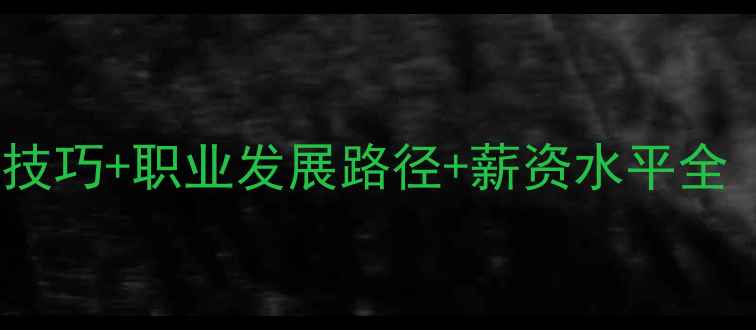 图片 网站优化SEO优化技巧+职业发展路径+薪资水平全（附免费工具包）