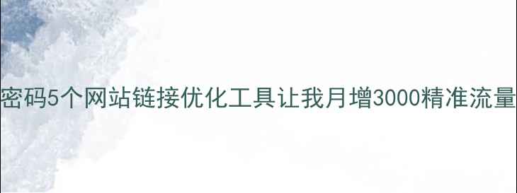图片 网站优化SEO干货流量密码5个网站链接优化工具让我月增3000精准流量！附保姆级使用教程1