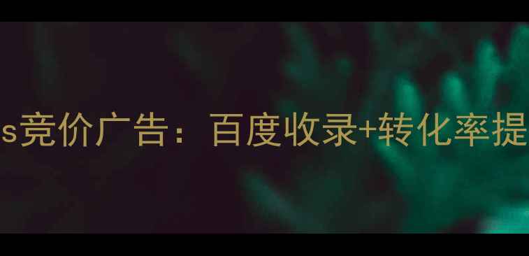 图片 网站优化vs竞价广告：百度收录+转化率提升全攻略1