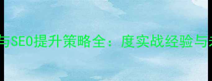 图片 网站优化与SEO提升策略全：度实战经验与未来规划2