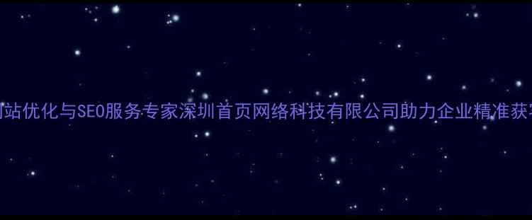 图片 网站优化与SEO服务专家深圳首页网络科技有限公司助力企业精准获客