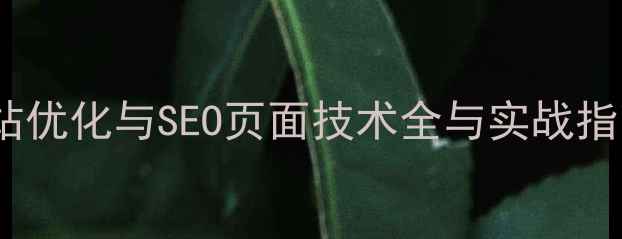 图片 网站优化与SEO页面技术全与实战指南1