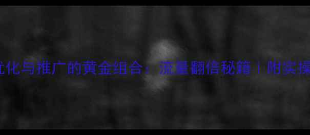 图片 网站优化与推广的黄金组合：流量翻倍秘籍｜附实操指南1