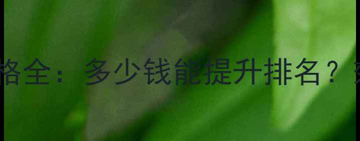 图片 网站优化价格全：多少钱能提升排名？效果如何？2