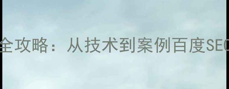 图片 网站优化全攻略：从技术到案例百度SEO实战指南