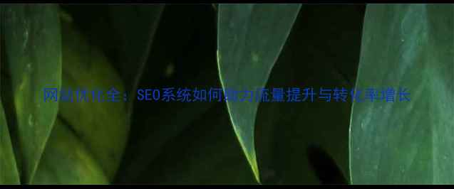 图片 网站优化全：SEO系统如何助力流量提升与转化率增长