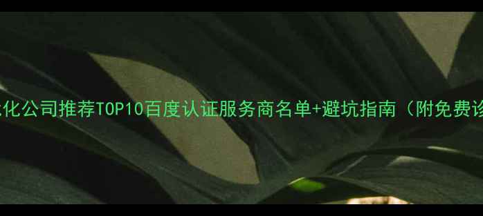 图片 网站优化公司推荐TOP10百度认证服务商名单+避坑指南（附免费诊断）2