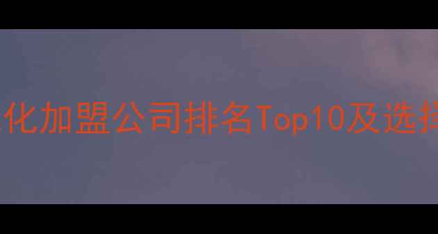 图片 网站优化加盟公司排名Top10及选择指南1