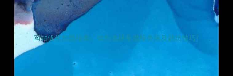 图片 网站优化加盟指南：如何选择靠谱服务商及避坑技巧1