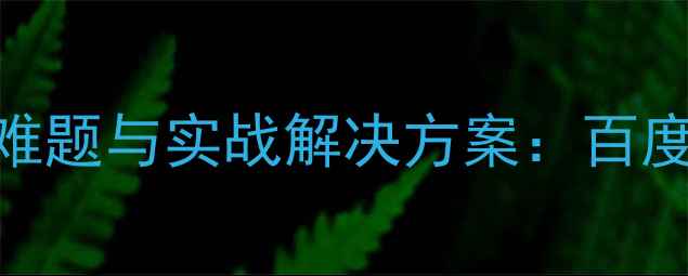 图片 网站优化十大难题与实战解决方案：百度SEO必读指南1