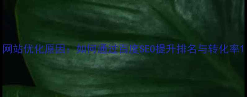 图片 网站优化原因：如何通过百度SEO提升排名与转化率1