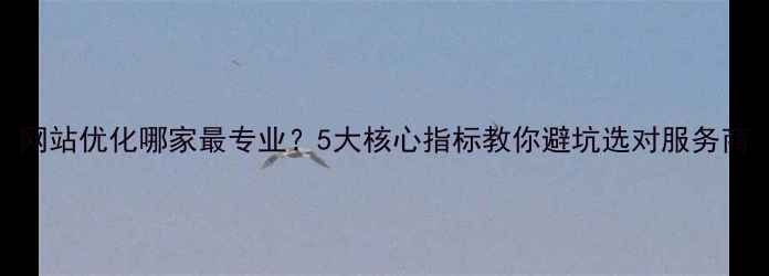 图片 网站优化哪家最专业？5大核心指标教你避坑选对服务商