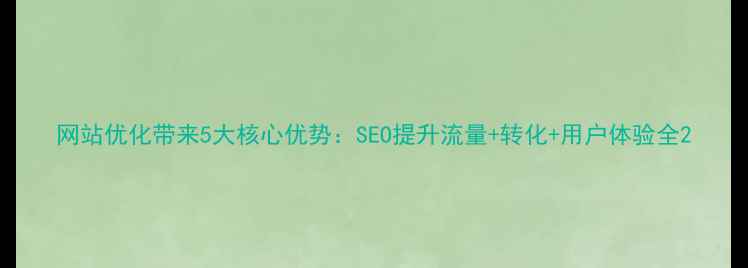 图片 网站优化带来5大核心优势：SEO提升流量+转化+用户体验全2
