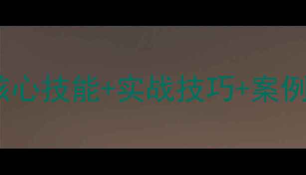 图片 网站优化必备的5大核心技能+实战技巧+案例分析（附避坑指南）