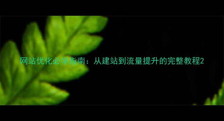 图片 网站优化必学指南：从建站到流量提升的完整教程2