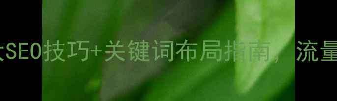 图片 网站优化必看！5大SEO技巧+关键词布局指南，流量暴涨秘籍大公开！
