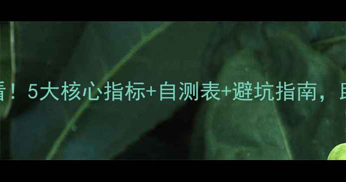 图片 网站优化必看！5大核心指标+自测表+避坑指南，助你流量翻倍