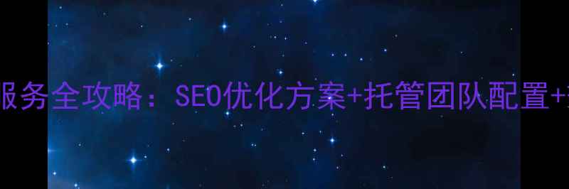 图片 网站优化托管服务全攻略：SEO优化方案+托管团队配置+效果保障指南1