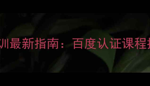 图片 网站优化技术培训最新指南：百度认证课程推荐与实战技巧1