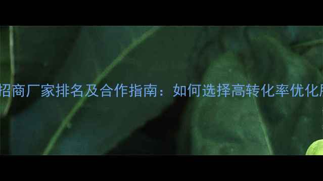 图片 网站优化招商厂家排名及合作指南：如何选择高转化率优化服务商？1