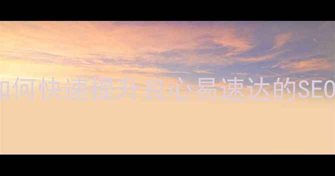 图片 网站优化指南：如何快速提升良心易速达的SEO排名与用户体验1