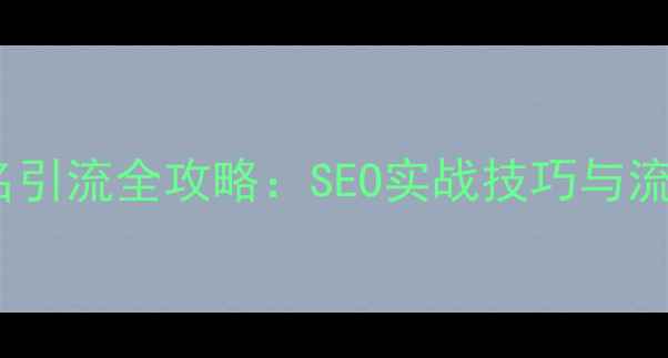 图片 网站优化排名引流全攻略：SEO实战技巧与流量增长方案2