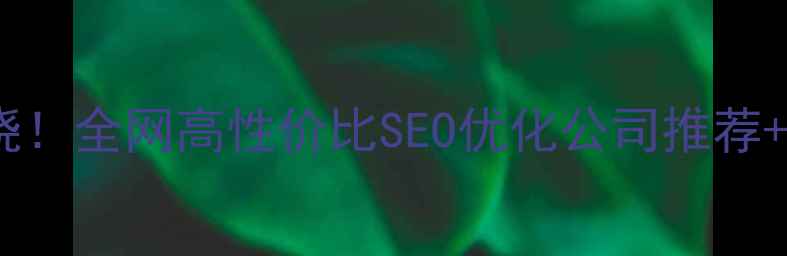 图片 网站优化排名揭晓！全网高性价比SEO优化公司推荐+免费工具大公开1