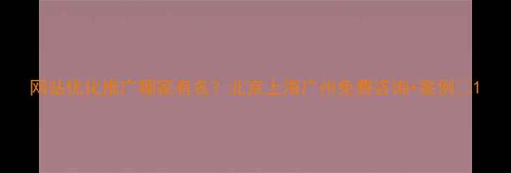 图片 网站优化推广哪家有名？北京上海广州免费咨询+案例✨1