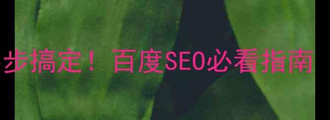 图片 网站优化方案5步搞定！百度SEO必看指南（附实操模板）