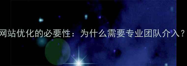 图片 网站优化的必要性：为什么需要专业团队介入？