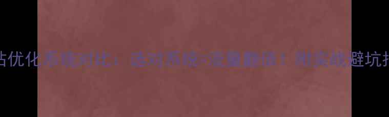 图片 网站优化系统对比：选对系统=流量翻倍！附实战避坑指南