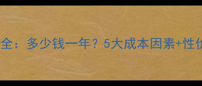 图片 网站优化费用全：多少钱一年？5大成本因素+性价比方案推荐2