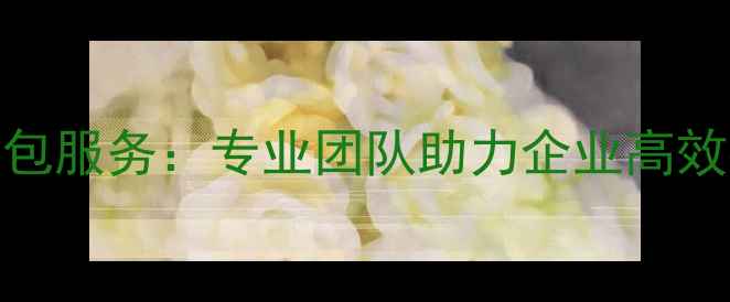 图片 网站关键词优化外包服务：专业团队助力企业高效提升搜索引擎排名